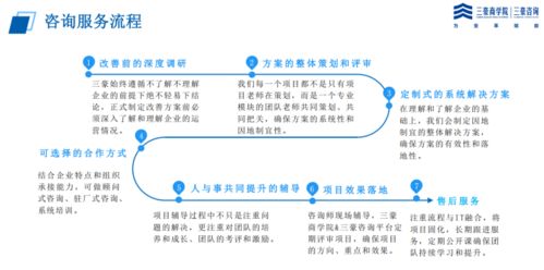三豪咨詢IPD管理體系案例二 集成產品開發（IPD）與系統集成的融合實踐